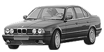 BMW E34 P3095 Fault Code